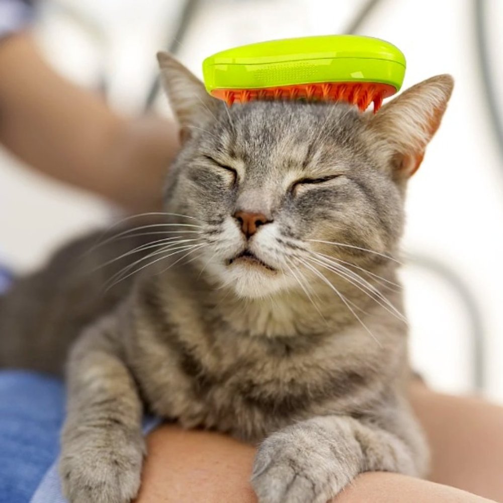 Massage Comb Steam Brush For Pets Hair